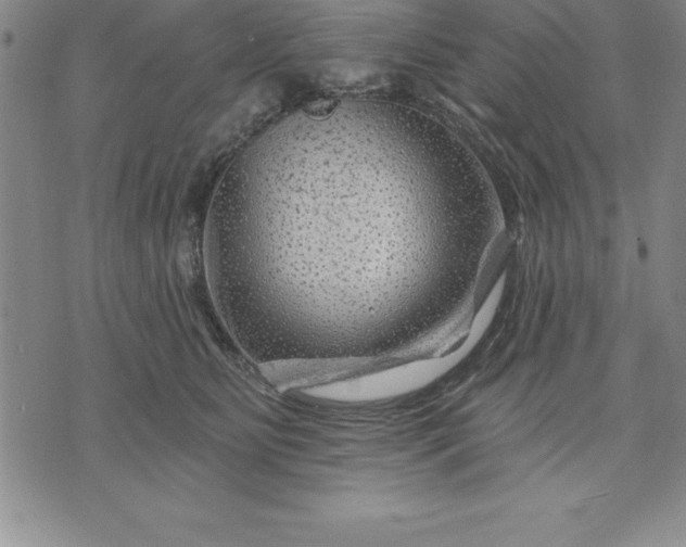 X0000071850515200607141753