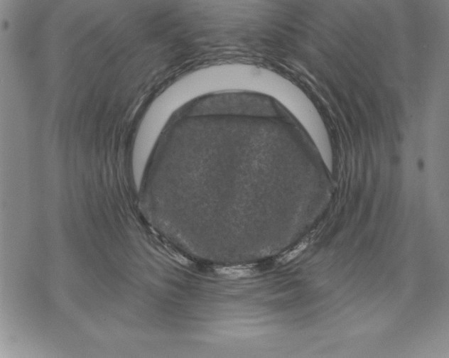 X0000071850516200607141753