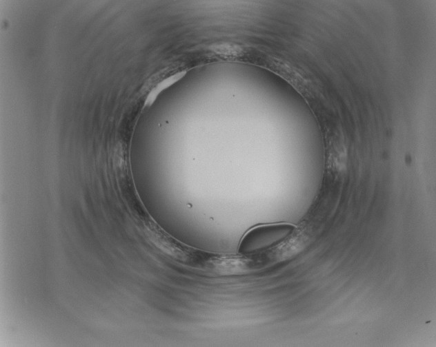 X0000071850518200607141753