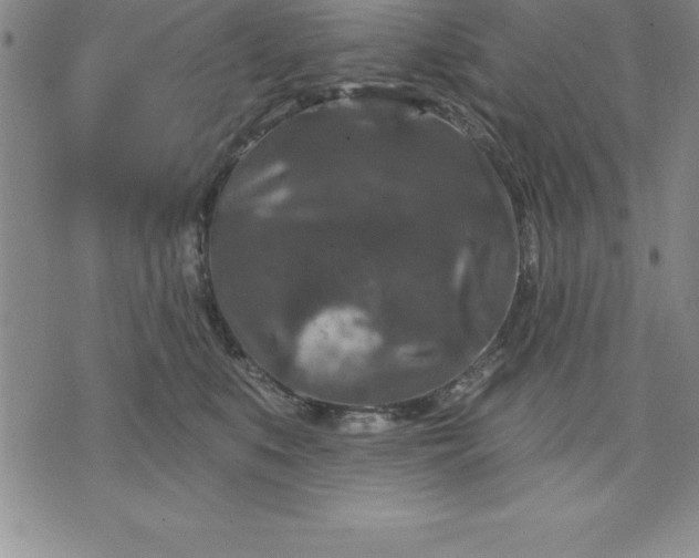 X0000071850519200607141753