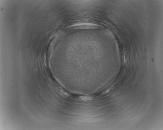 X0000071850520200607141753