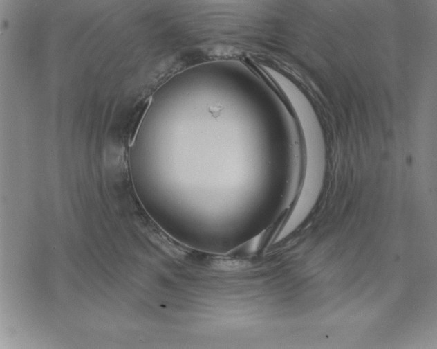 X0000071850521200607141753