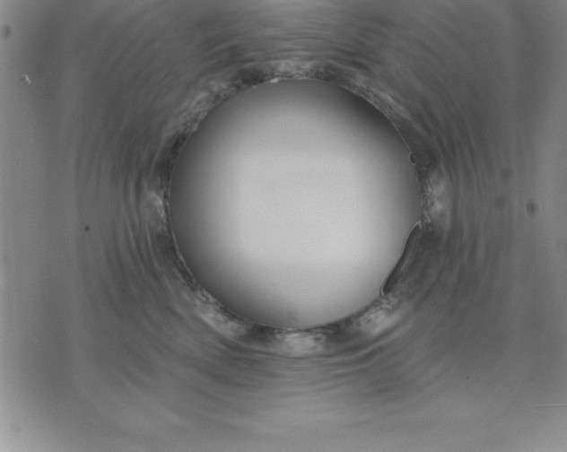 X0000071850522200607141753