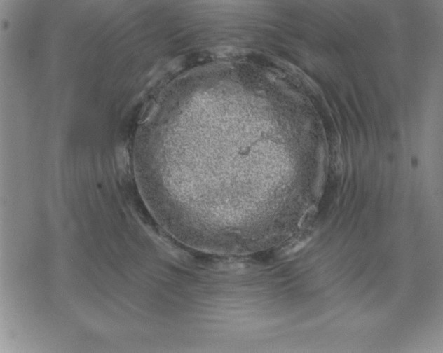 X0000071850523200607141753