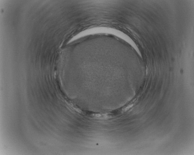 X0000071850524200607141753