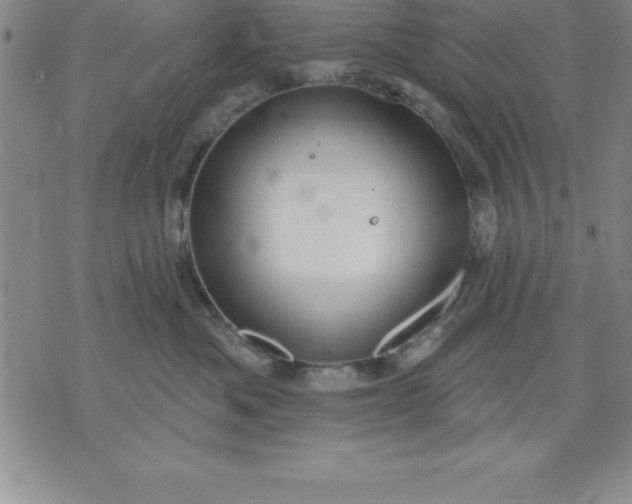 X0000071850525200607141753