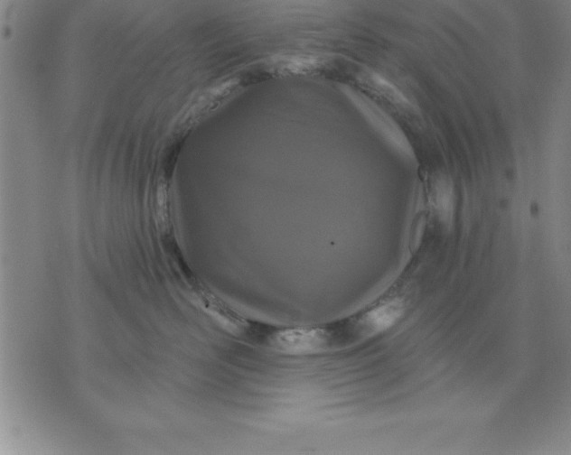 X0000071850526200607141753