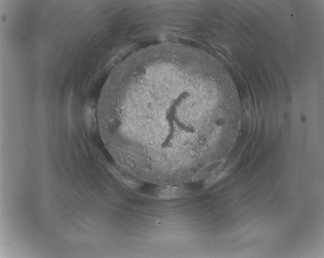 X0000071850527200607141753