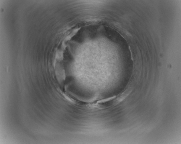 X0000071850528200607141753