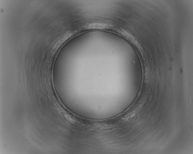 X0000071850529200607141752