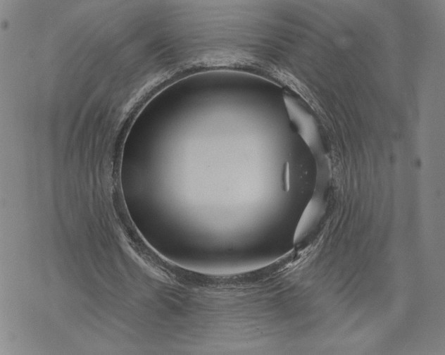 X0000071850530200607141752