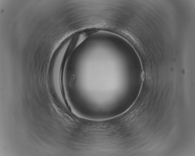 X0000071850532200607141752