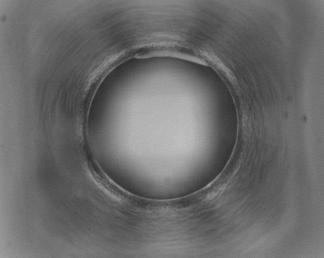 X0000071850533200607141752