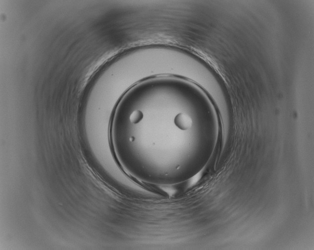 X0000071850535200607141752