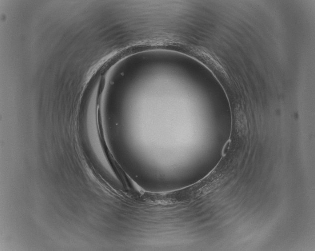 X0000071850536200607141752