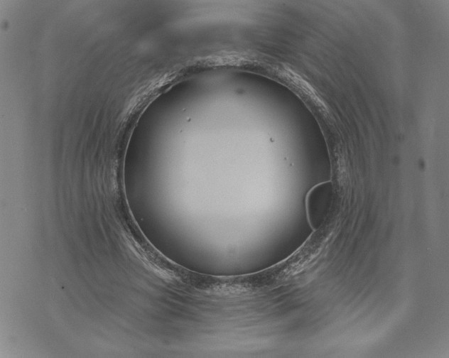 X0000071850537200607141752