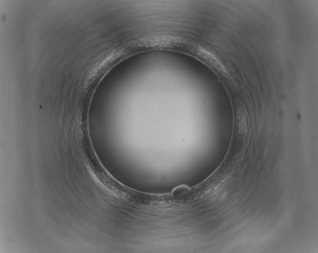 X0000071850538200607141752