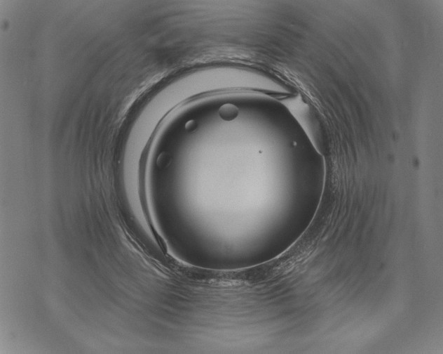 X0000071850539200607141752