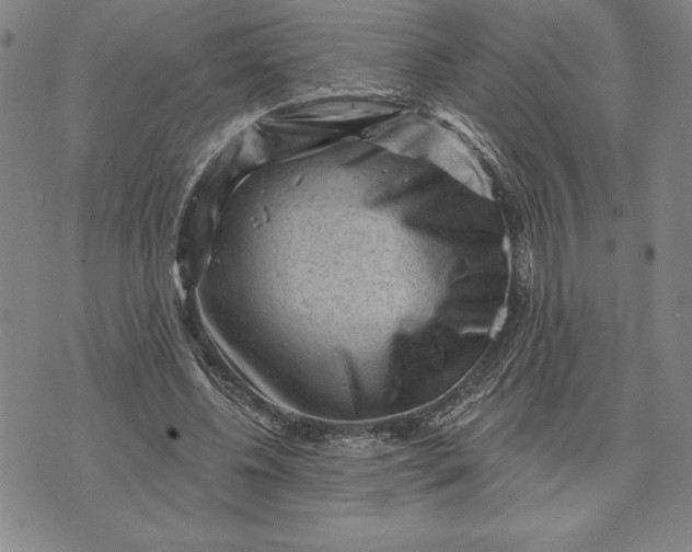 X0000071850540200607141752