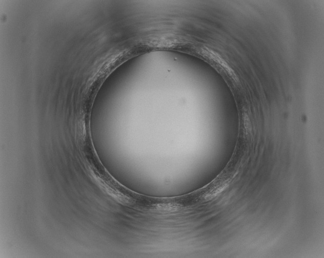 X0000071850541200607141752