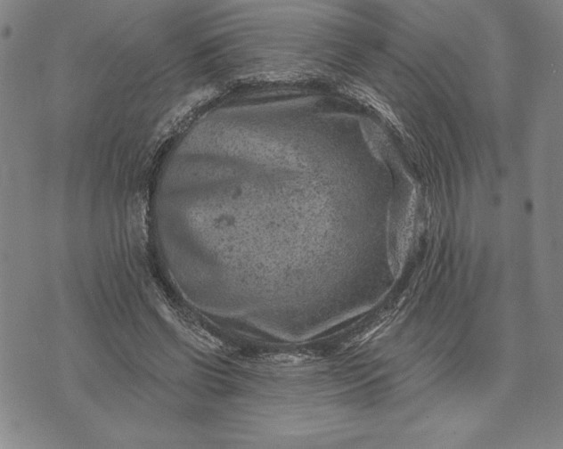 X0000071850542200607141752