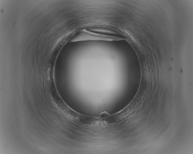 X0000071850543200607141752