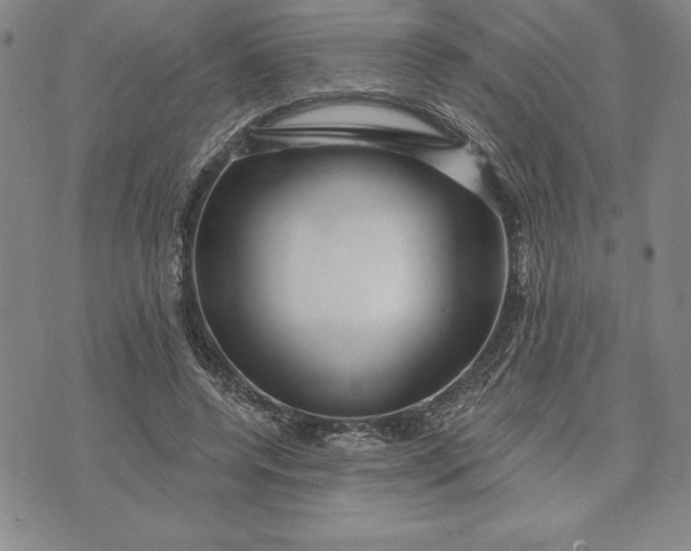 X0000071850544200607141752