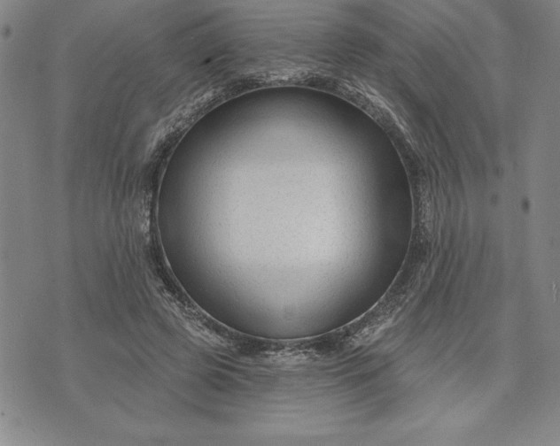 X0000071850545200607141753