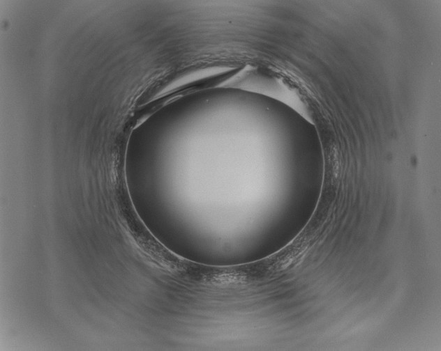 X0000071850546200607141753