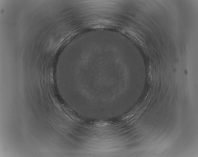 X0000071850547200607141753