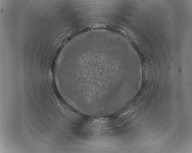 X0000071850550200607141753