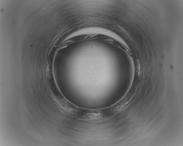 X0000071850552200607141753