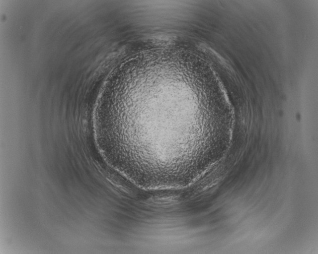 X0000071850553200607141753