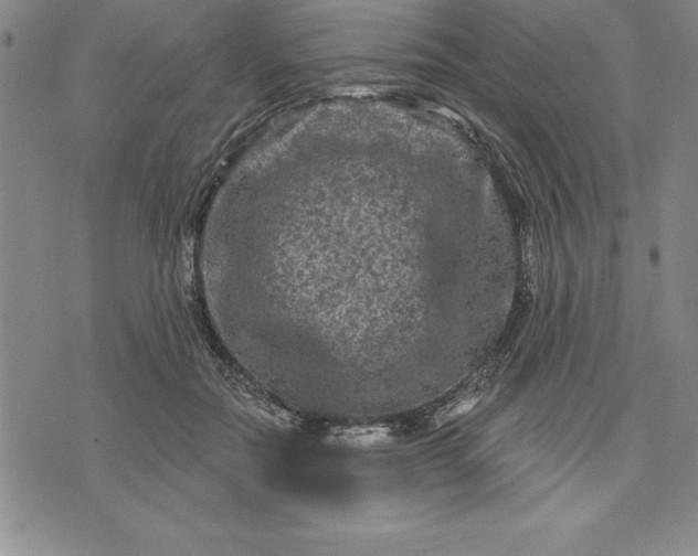 X0000071850554200607141753