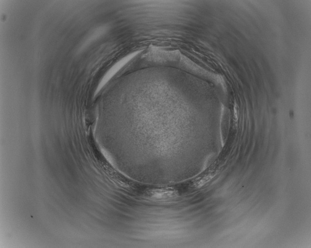 X0000071850555200607141753