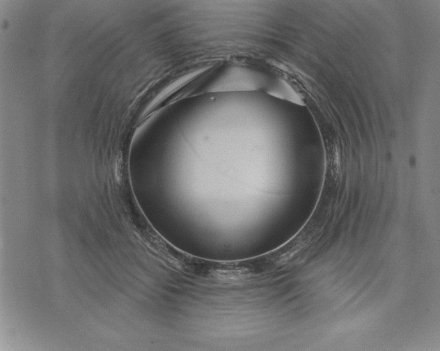 X0000071850556200607141753