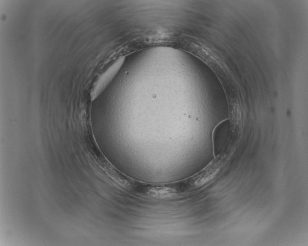 X0000071850557200607141753