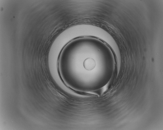 X0000071850558200607141753