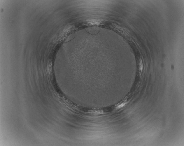 X0000071850559200607141753