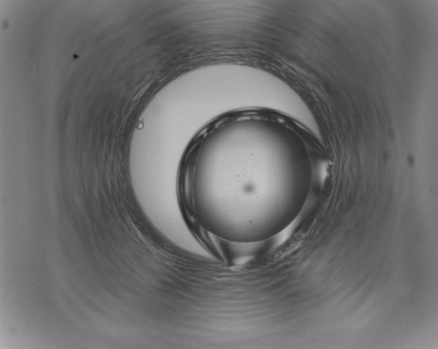 X0000071850560200607141753