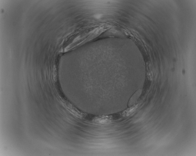 X0000071850563200607141753