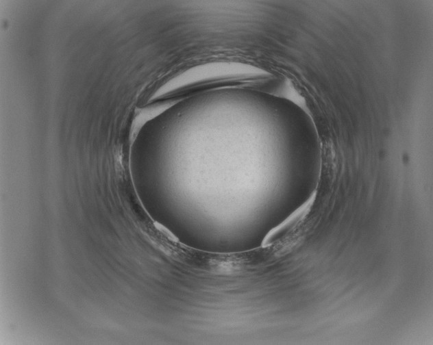 X0000071850564200607141753