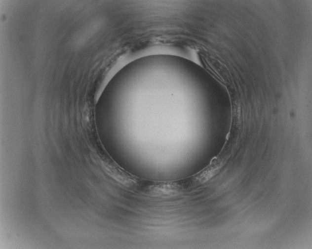 X0000071850567200607141753