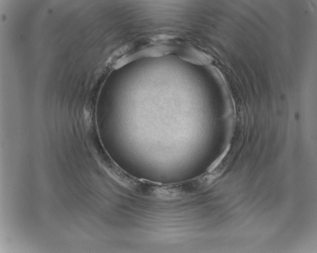 X0000071850568200607141753