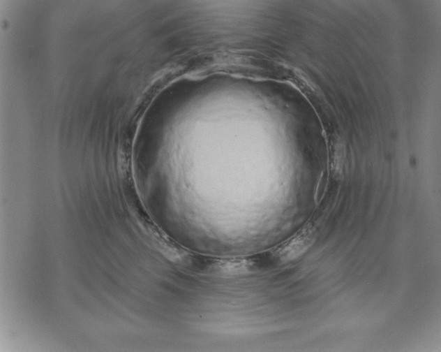 X0000071850569200607141753