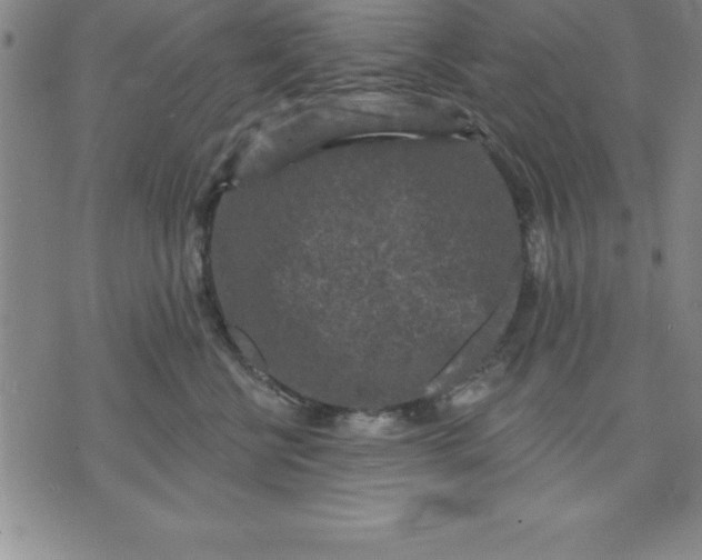 X0000071850570200607141753