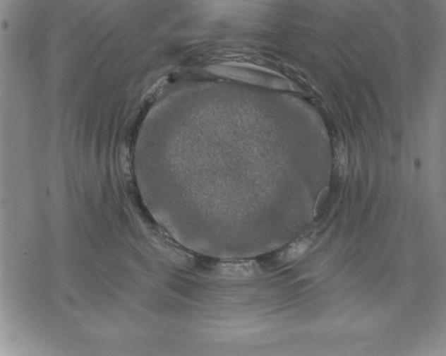 X0000071850571200607141753