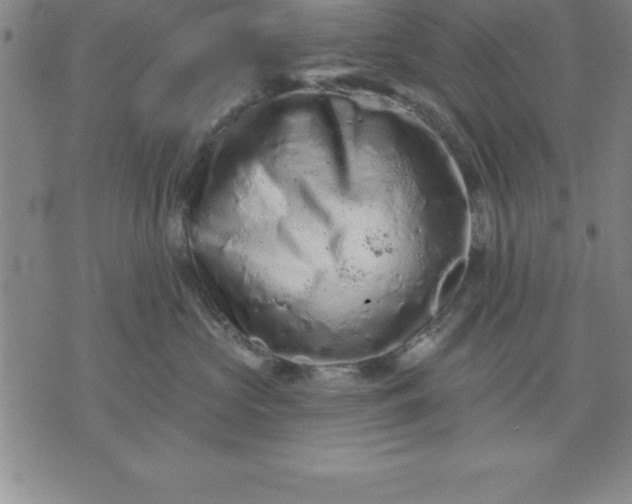 X0000071850573200607141753