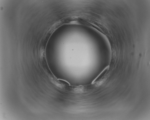 X0000071850574200607141753