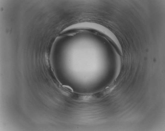 X0000071850575200607141753